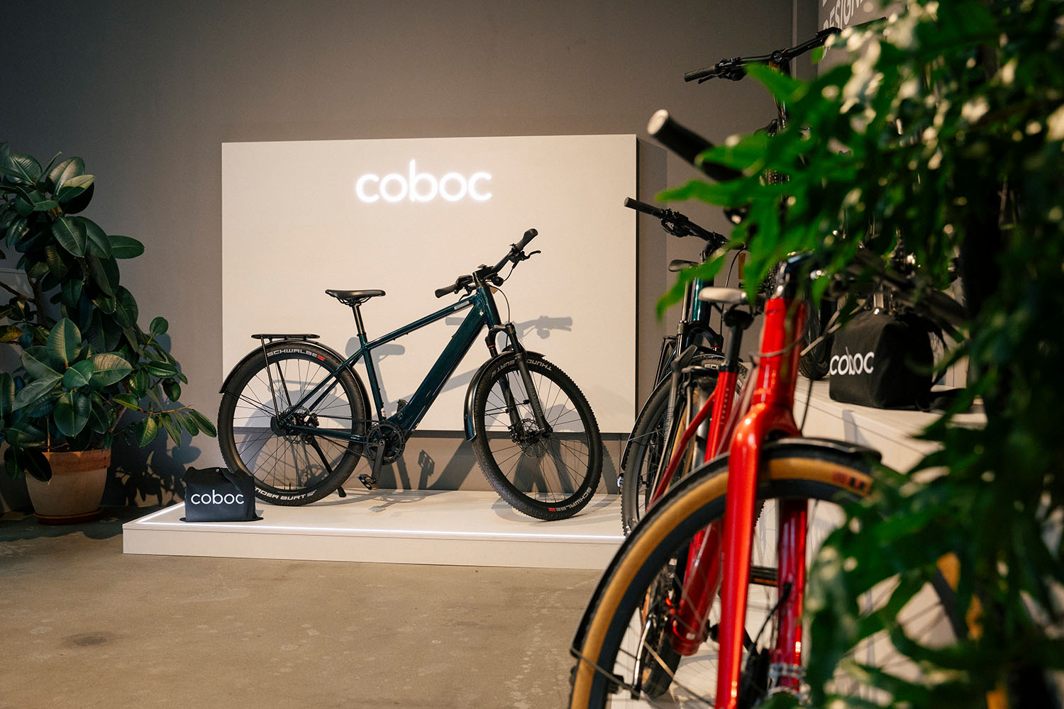 2025-12-06_DS_Ruprecht_Rides_HiRes-0002-3869